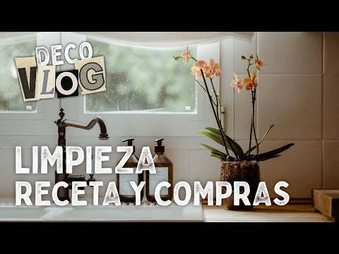 🧺 LIMPIEZA + MUY MUCHO + Salvando la Orquídea🌷(Os hago caso)