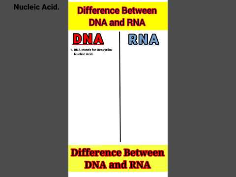 Difference Between DNA and RNA, Nucleic Acid , Genetic Material, #Biology #Science #Shorts