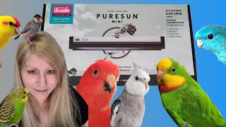 The Importance of UVB for Birds + Unboxing the PureSun Mini Bird Light