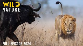 WILD SAVANNAH | Survival Stories from the Heart of Africa | Animal documentary