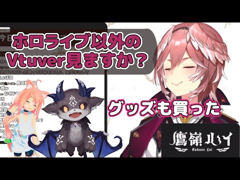 【グッズ購入済】ルイ姐がホロライブ以外で見るVtuverは？【ホロライブ/鷹嶺ルイ/holoX/ホロライブ6期生/ホロライブ切り抜き/でびでび・でびる/猫宮ひなた】