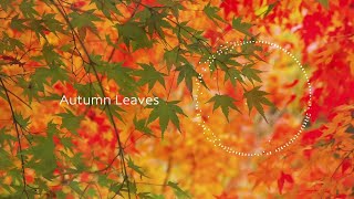 Autumn Leaves