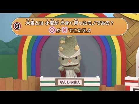 ハピクラ日本の麦を知りまSHOW【第5回】「大麦の基本の“キ”！」～色々な食品に姿を変える大麦～