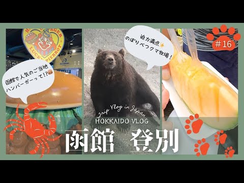 #16 【函館・登別】北海道旅行編最終回！函館のご当地グルメや登別のクマさんに会いに🧸💕｜五稜郭｜金森赤レンガ倉庫｜ラッキーピエロ｜函館朝市｜のぼりべつクマ牧場