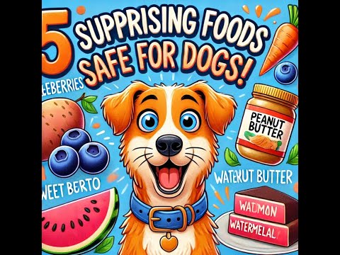 "5 Surprising Foods You Can Safely Share with Your Dog! 🐶🥗"