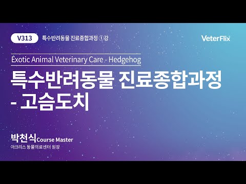 [베터플릭스][특수반려동물 진료종합과정] 고슴도치(Exotic Animal Veterinary Care-Hedgehog)