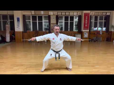 “Tawada no Sai (Tada nu Sai)” segment explained #信武舘 #古武道 #karate #shimbukan #kobudo #japan #沖縄 #空手