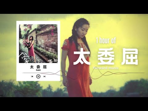 陶晶瑩【太委屈】1 Hour Loop Music ♾️一小時循環播放♾️