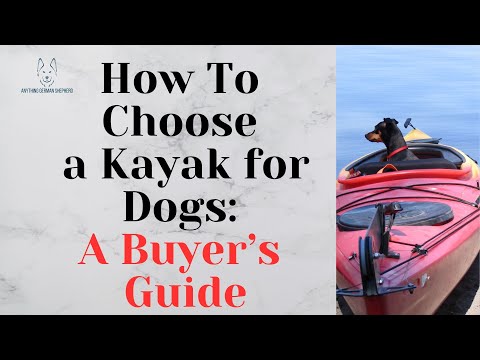 How To Choose a Kayak for Dogs: A Buyer’s Guide