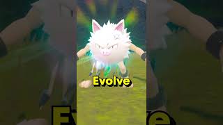 How to get Annihilape Evolution FAST in Pokemon Scarlet and Violet