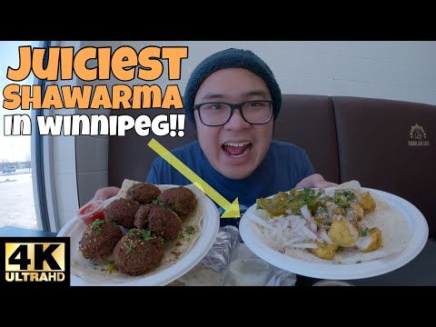 WINNIPEG LOCAL FOOD!! JUICIEST CHICKEN SHAWARMA IN WINNIPEG MANITOBA 🌯!! [4K]