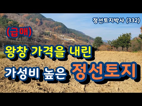 (급매) 왕창 가격을 내린 가성비 높은 정선토지/정선토지박사