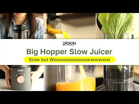 Terbaru!! Big Hopper Slow Juicer Signora | Bisa Proses Satu Buah Apel Sekali Jalan