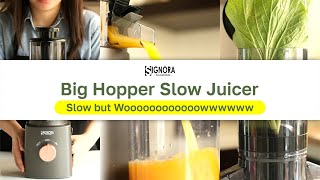 Terbaru!! Big Hopper Slow Juicer Signora | Bisa Proses Satu Buah Apel Sekali Jalan