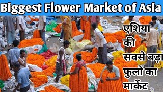 Biggest Flower Market of Asia I The Mullick Ghat Flower Market of Kolkata I Howrah Bridge