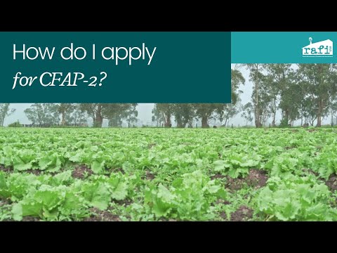 How to Apply for CFAP - Part 3 of 4