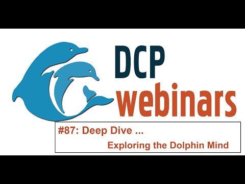 DCP Deep Dive: Exploring the Dolphin Mind