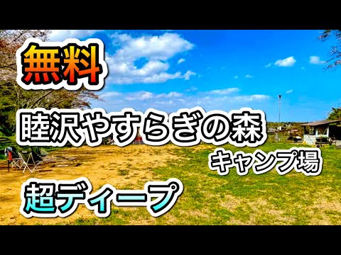 【千葉】睦沢やすらぎの森キャンプ場　無料！超ディープ！　関東　千葉　無料　格安　房総