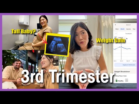 3rd Trimester Vlog 🤰🏻  Ultrasound Appointment, Pregnancy Update! Weight Gain, Glucose Test Results