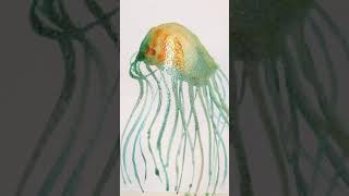 Friday Fun: Jellyfish