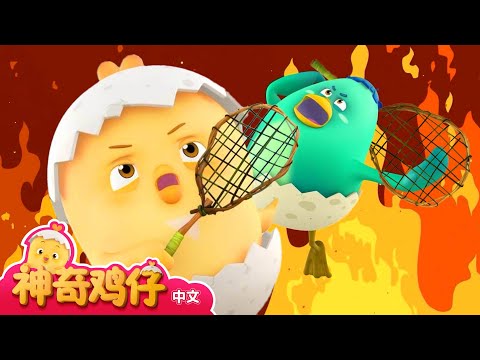 神奇鸡仔 9~11 | 30分 | 卡通動畫 | 好習慣卡通動畫 | Como Kids TV