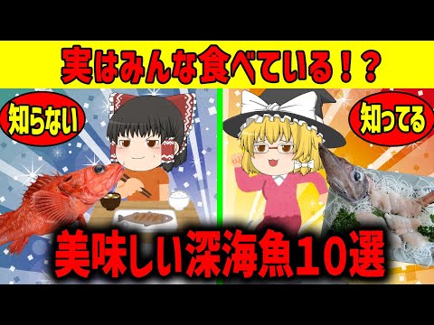 【ゆっくり解説】美味しい深海魚10選!!