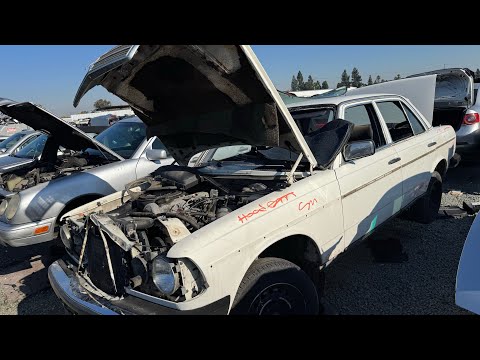 1980 Mercedes-Benz W123 at Junkyard in California