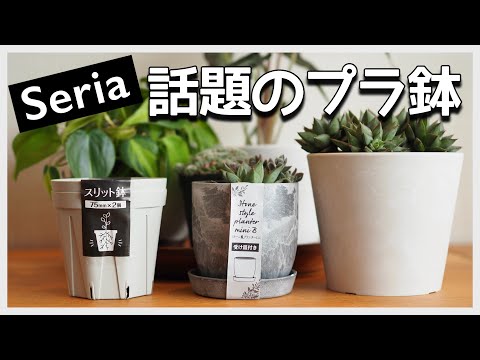 【セリア】話題のプラ鉢を紹介！スリット鉢＆コンクリート風プランター