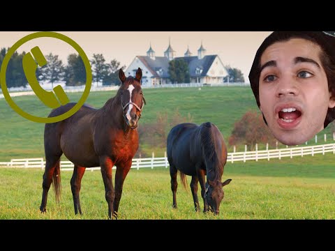 Prank Calling Horse Farms +Playing RDR 2 and Ghost of Thushima