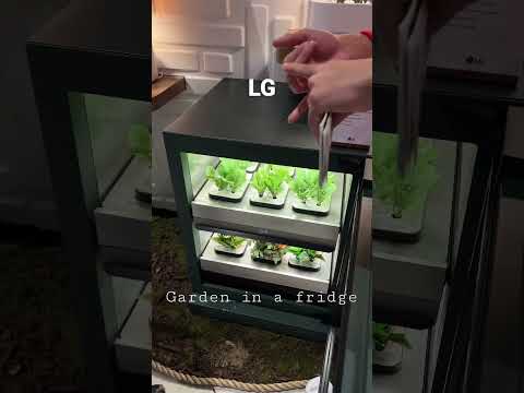 LG indoor gardening appliances / Vegetable in your refrigerator / CES 2023