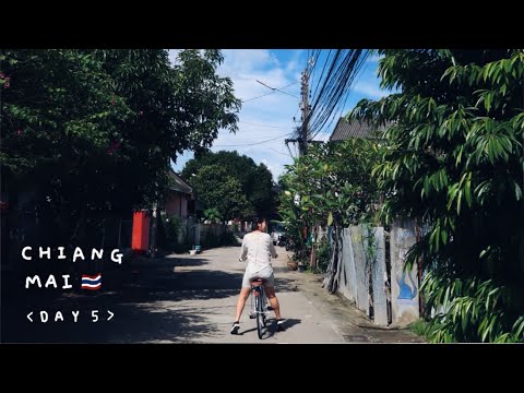 자전거 타고 치앙마이 비건 마트 구경가기 DAY5 | zero-waste Chiangmai trip