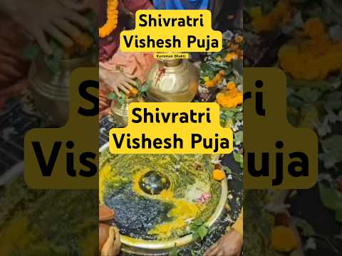 Shivratri Puja Baidyanath Dham Jyotirling #Shiv #Mahadev #Shiva #bholenath #mahashivratri #Shivratri