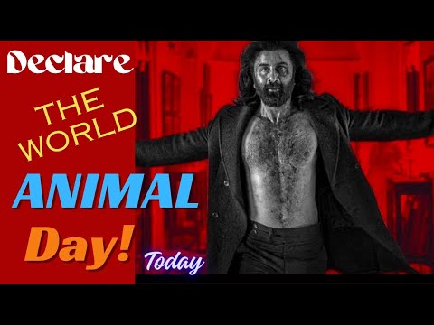 ANIMAL MOVIE REVIEW | ANIMAL FILM REVIEW | RANBIR KAPOOR | BOBBY DEOL | INDIAN CINEMATIC UNIVERSE |