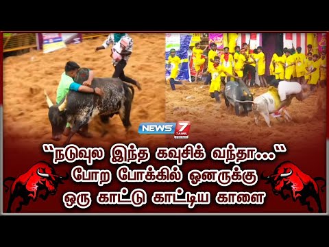 “நடுவுல இந்த கவுசிக் வந்தா...”போற போக்கில் ஓனருக்கு ஒரு காட்டு காட்டிய காளை