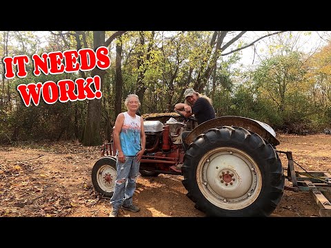 PREPPING FOR CHICKENS AND HOGS. farm, tiny house, homesteading, RV life, RV living|