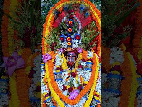 🌺Joy Maa tara🌺 #tarapith #maa #bhakti #maatara #taramaa #joymatara #music #song #status #shorts #yt