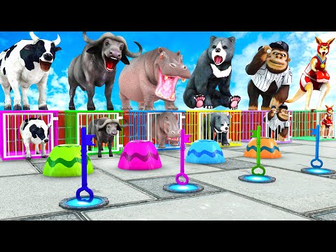 Cow Mammoth Elephant Lion Bear Hippo Guess The Right Key Run ESCAPE ROOM CHALLENGE Animals Cage Game