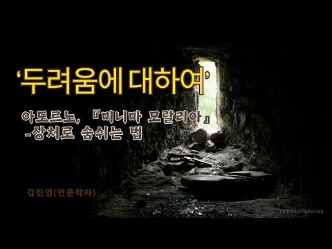 아도르노-『미니마 모랄리아』 혹은 상처로 숨쉬는 법 Ⅱ - 두려움에 대하여 (김진영)