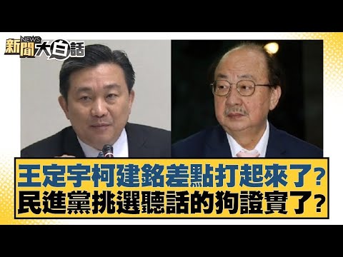 王定宇柯建銘差點打起來了？民進黨挑選聽話的狗證實了？【新聞大白話】20250107-1｜葉元之 李明賢 陳揮文