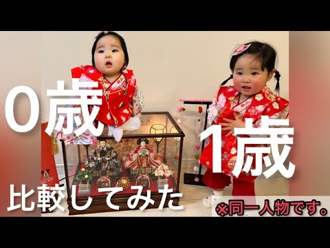 去年と今年のひな祭り🎎/爆食い0歳児/人見知り1歳児🎎【絶叫出産した助産師ママ】