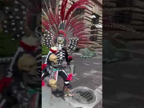 Person in Skeleton Costume with Feathers #shorts #skeleton Video by Blue Arauz from Pexels