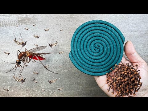 Get rid of mosquitoes and flies naturally in just one minute! 🦟🚫