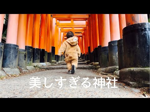 【子供7人大家族パパ】伏見稲荷大社　千本鳥居 いと美し Fushimiinari Fushimi inari