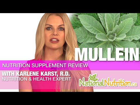 Medicinal Plant Mullein Health Benefits - Professional Supplement Review | National Nutrition Canada