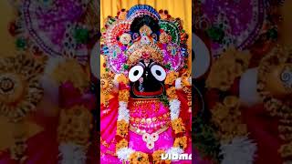 Jagannath, within Odia Hinduism, is the supreme god, Purushottama, and the Para Brahman.#ଜୟ ଜଗନ୍ନାଥ