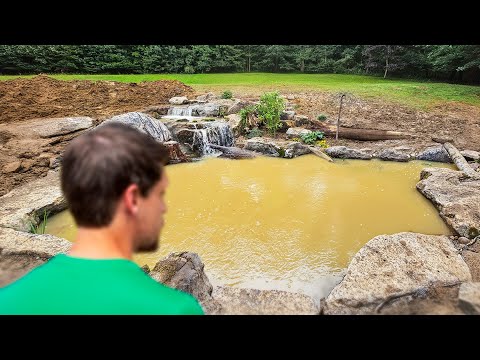 The Aftermath of the Giant Ecosystem Pond