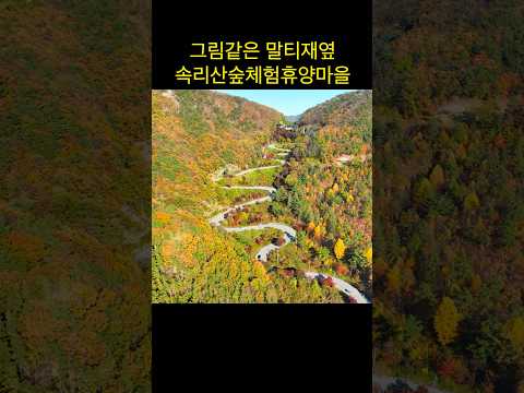 속리산의 그림같은 숙소 속리산숲체험휴양마을 #travel