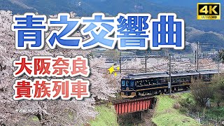 Osaka Nara Noble Luxury Sightseeing Train✨Kintetsu Express"Blue Symphony" ull unboxing introduction!