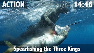 Spear Fishing the Three Kings