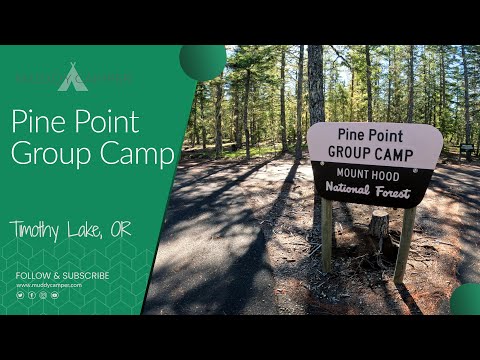 Pine Point Group Campground - Timothy Lake, Oregon | Mt. Hood National Forest